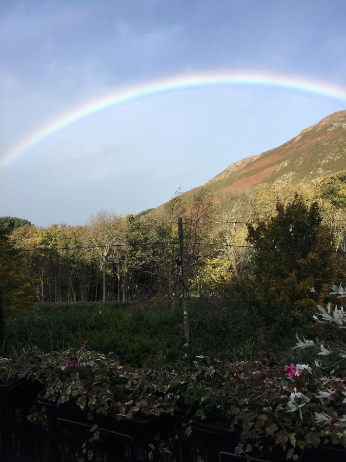 Woodbriar Bed & Breakfast Penmaenmawr Luaran gambar
